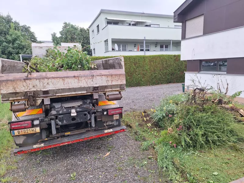 Rodungen, Gehölzen, Bäume, Sträucher, Schmid Erdbau, Hörbranz, Leiblachtal