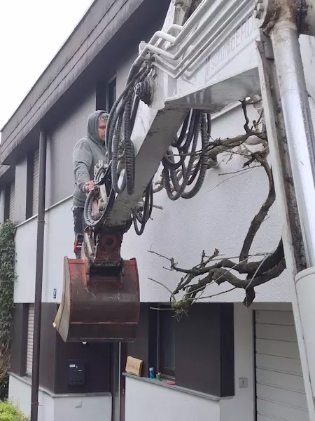 Rodungen, Gehölzen, Bäume, Sträucher, Schmid Erdbau, Hörbranz, Leiblachtal