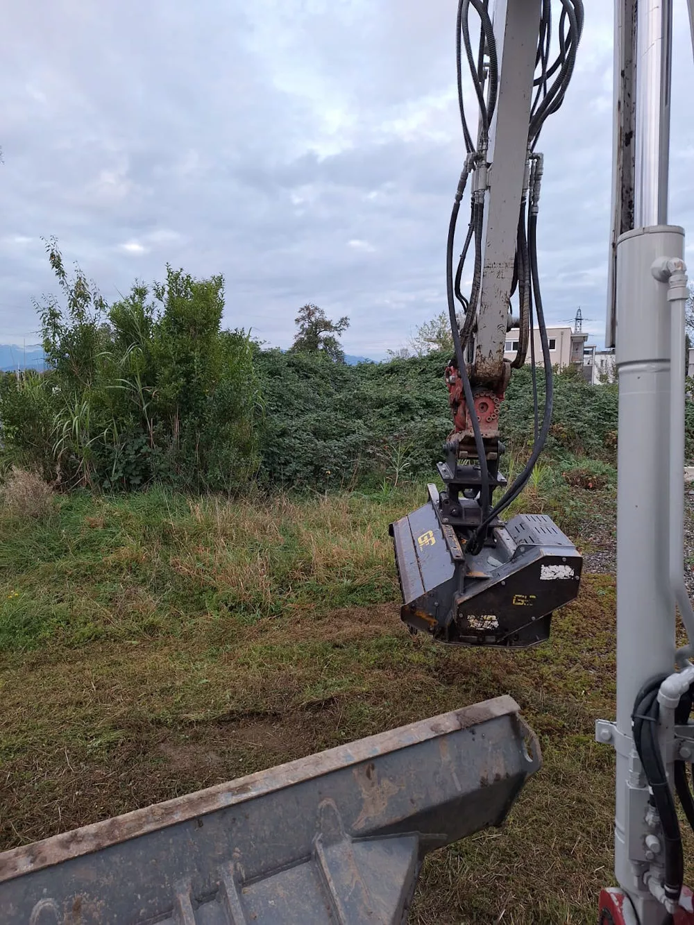 Bewuchsbefreiung mit unserem Bagger, Erdbau Leiblachtal, Schmid Erdbau