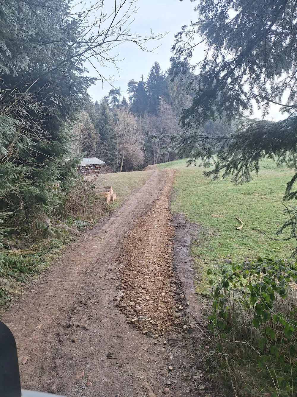 Weggestaltung, Wald, Baggerarbeiten, Erdbewegungen, Schmid Erdbau, Erdbau Leiblachtal
