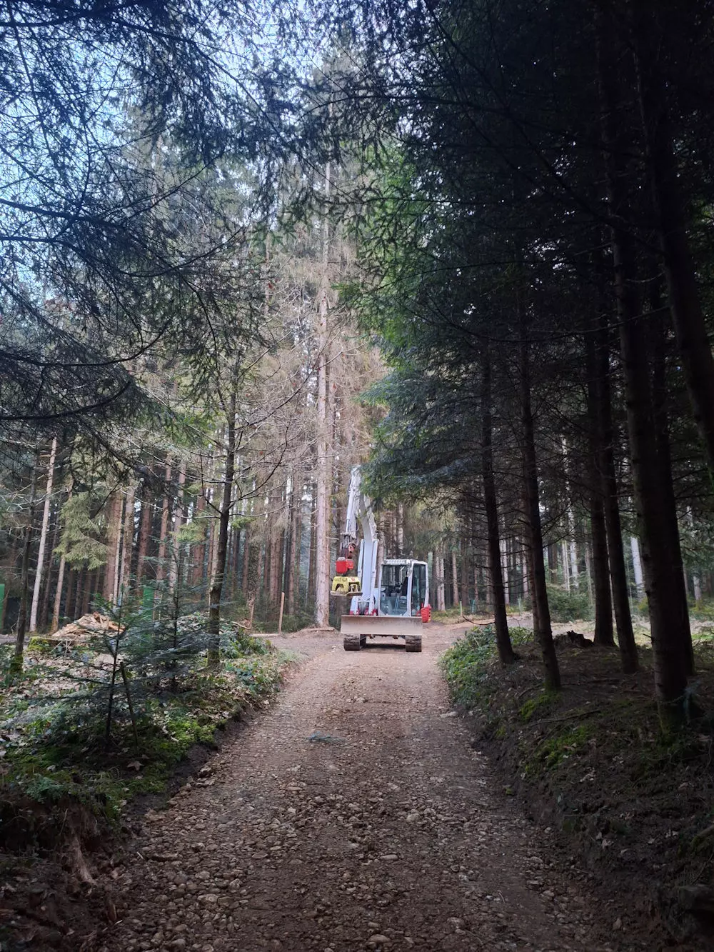 Weggestaltung, Wald, Baggerarbeiten, Erdbewegungen, Schmid Erdbau, Erdbau Leiblachtal