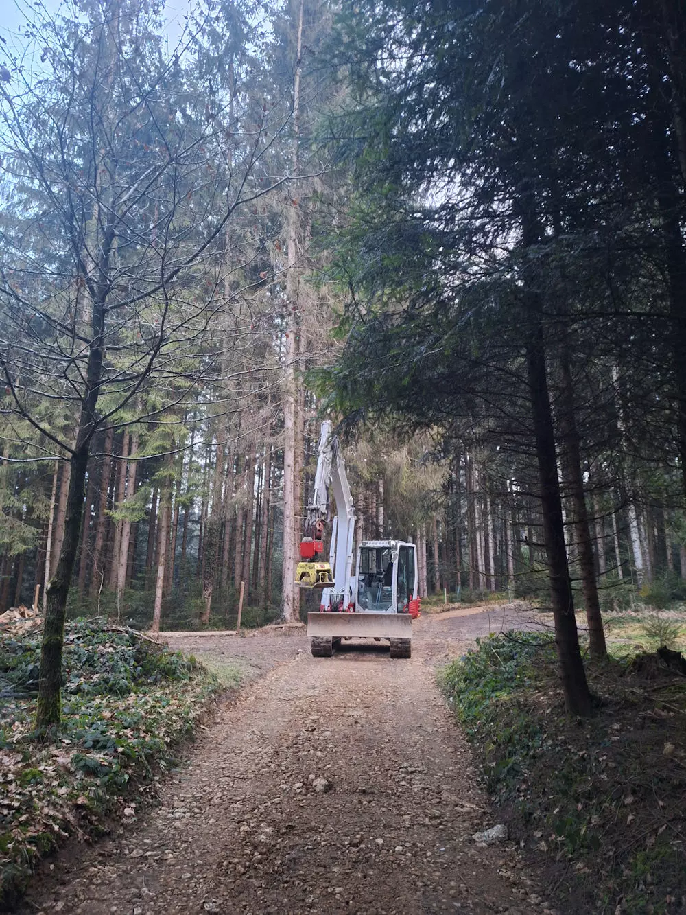 Weggestaltung, Wald, Baggerarbeiten, Erdbewegungen, Schmid Erdbau, Erdbau Leiblachtal