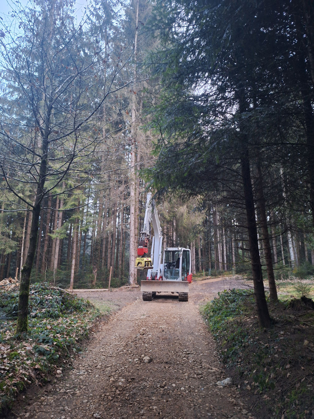 Waldweg, Schmid Erdbau, Erdbau Leiblachtal
