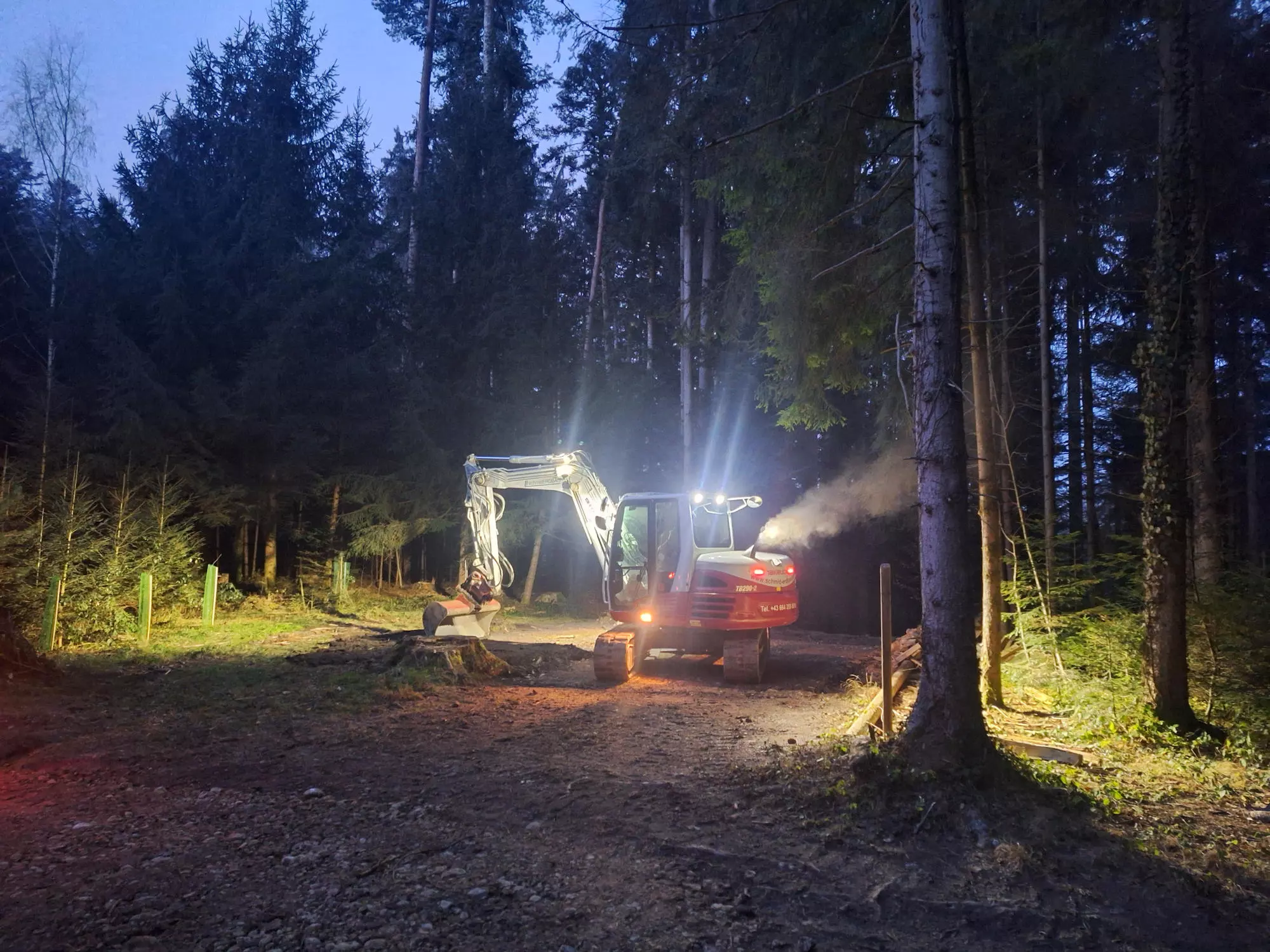 Weggestaltung, Wald, Baggerarbeiten, Erdbewegungen, Schmid Erdbau, Erdbau Leiblachtal