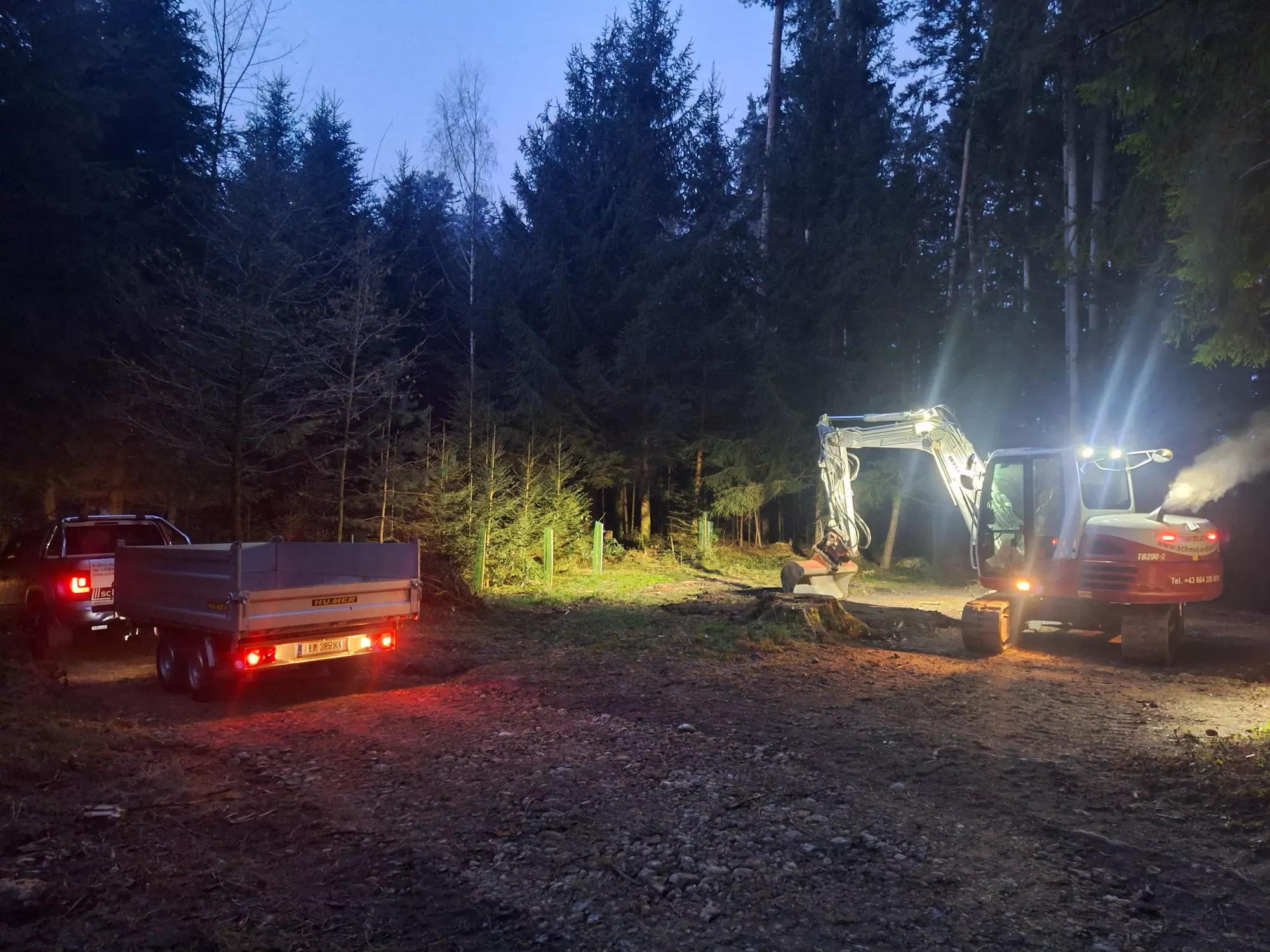 Weggestaltung, Wald, Baggerarbeiten, Erdbewegungen, Schmid Erdbau, Erdbau Leiblachtal