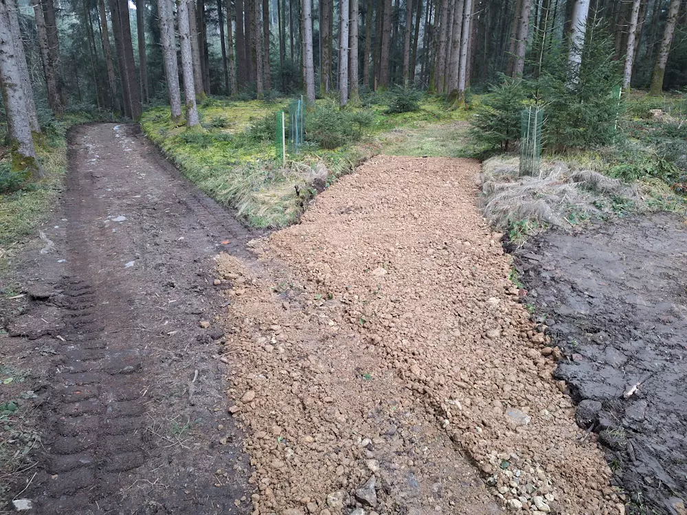 Weggestaltung, Wald, Baggerarbeiten, Erdbewegungen, Schmid Erdbau, Erdbau Leiblachtal