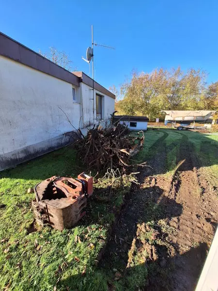 Rodungen, Gehölzen, Bäume, Sträucher, Schmid Erdbau, Hörbranz, Leiblachtal