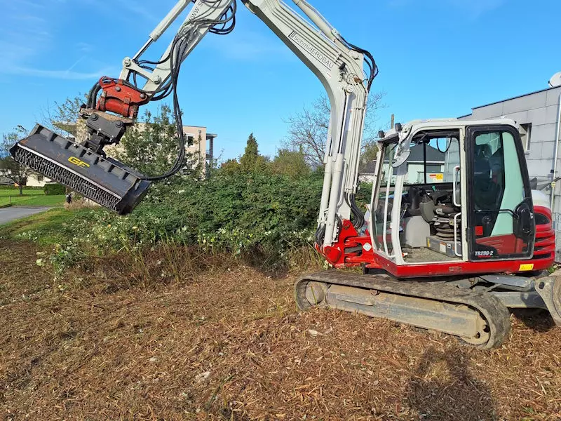 Rodungen, Gehölzen, Bäume, Sträucher, Schmid Erdbau, Hörbranz, Leiblachtal