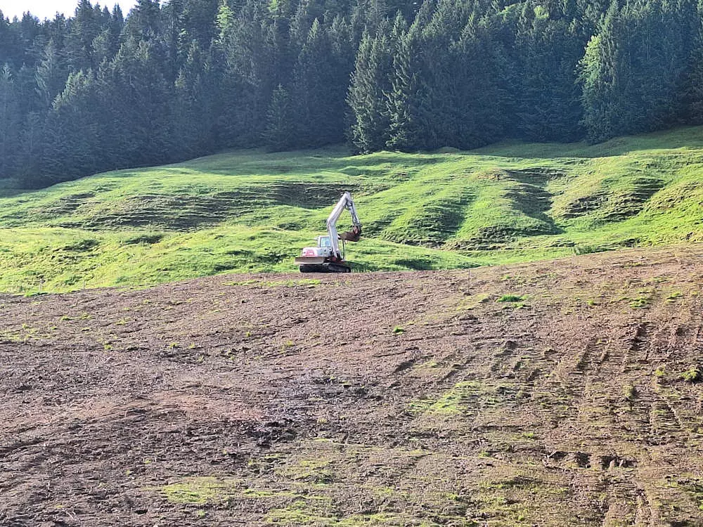 Renaturierung Sibgratsgfäll, Erdbau Leiblachtal, Schmid Erdbau