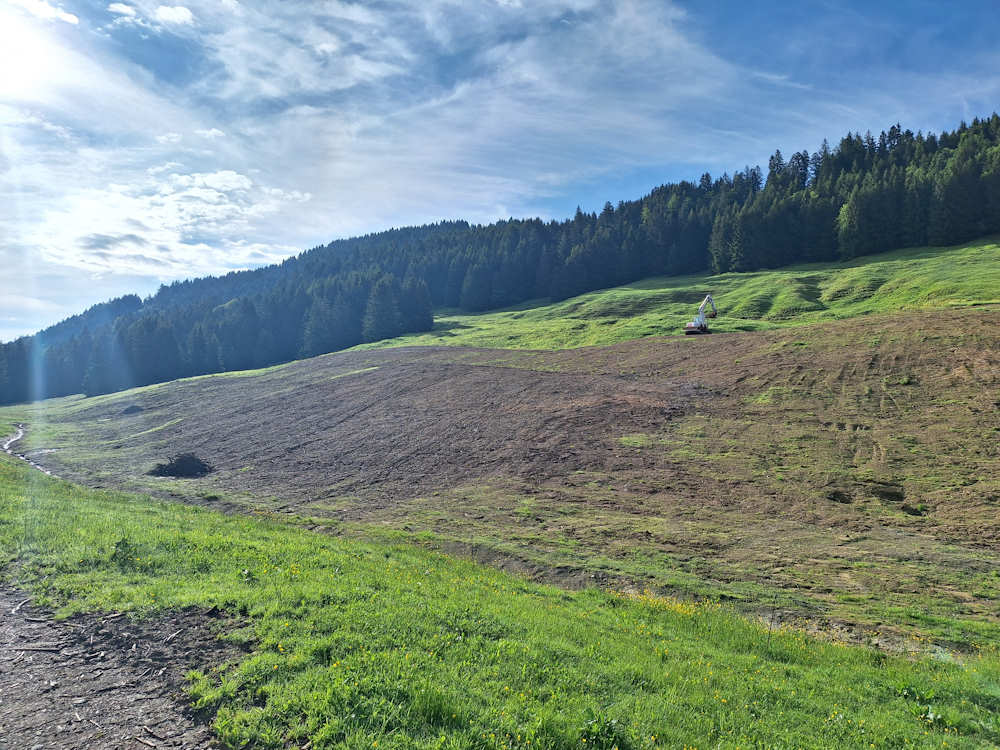 Renaturierung Sibratsgfäll, Schmid Erdbau, Erdbau Leiblachtal