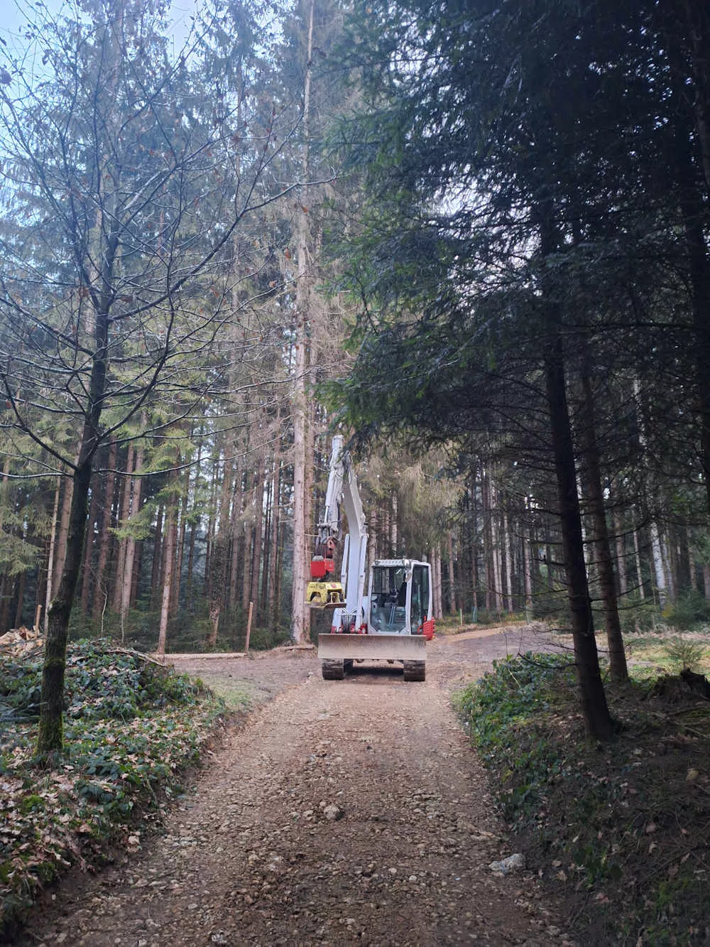 Wegebau, Schmid Erdbau, Leiblachtal, Erdbewegungen, Hörbranz, Waldweg Wegebau, Schmid Erdbau, Leiblachtal, Erdbewegungen, Hörbranz, Waldweg