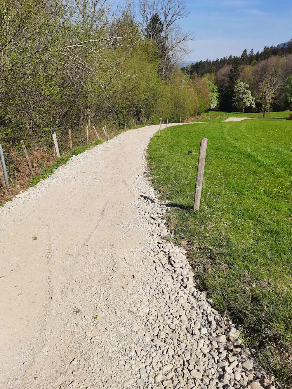 Wegebau, Schmid Erdbau, Leiblachtal, Erdbewegungen, Hörbranz, Waldweg Wegebau, Schmid Erdbau, Leiblachtal, Erdbewegungen, Hörbranz, Waldweg
